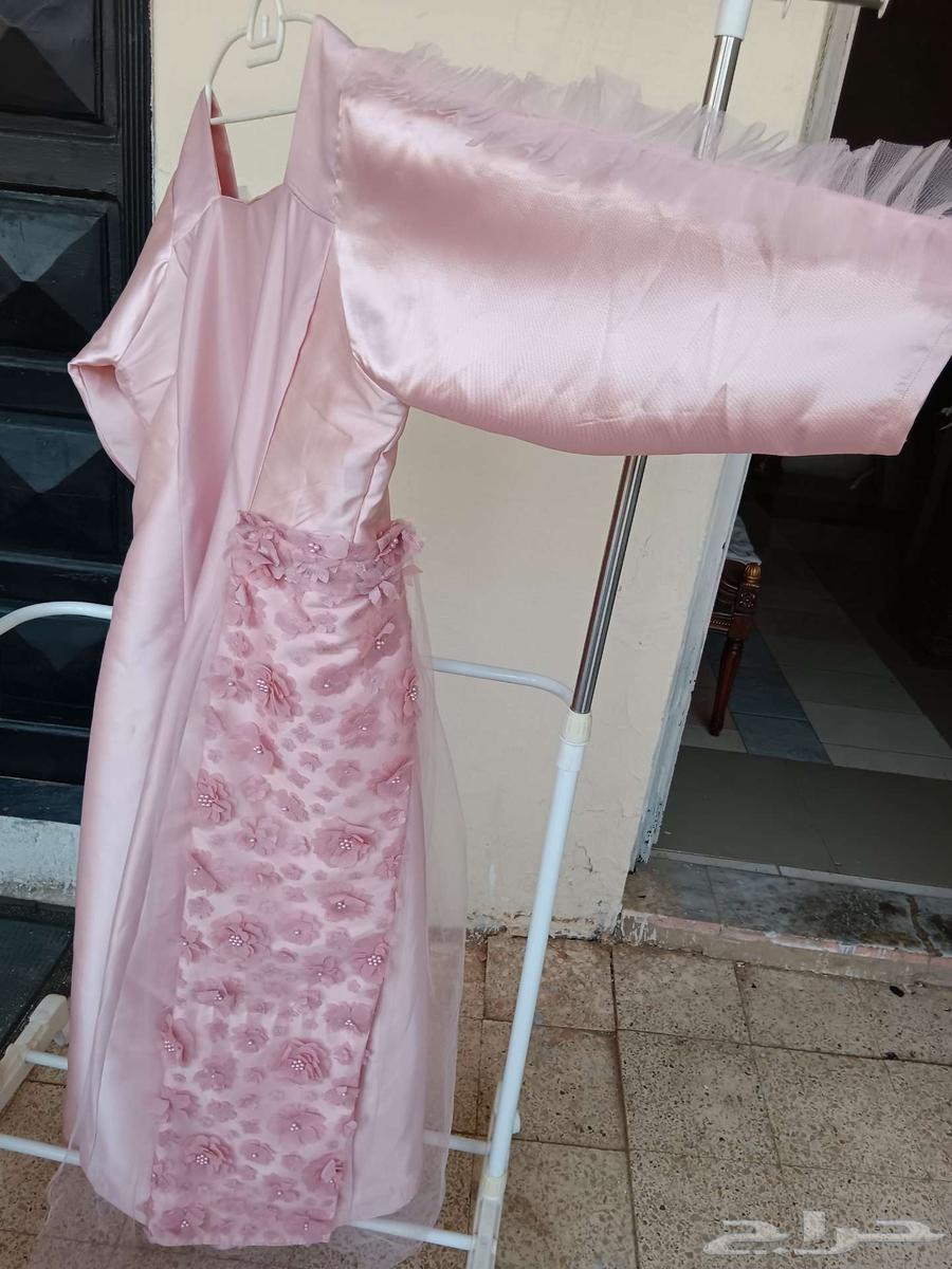 القصيم عنيزة64584729751298114