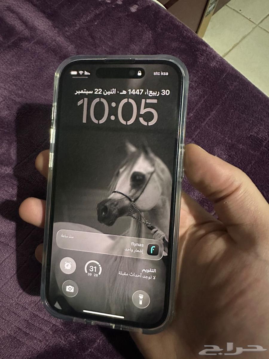 ايفون 14 برو بنفسجي - 128 جيجا64586078473730111