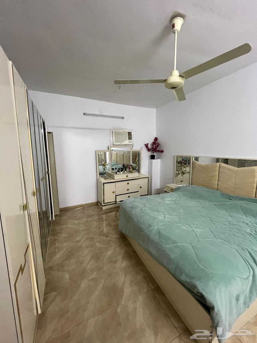 ماذون شرعي زواج64586836871169111