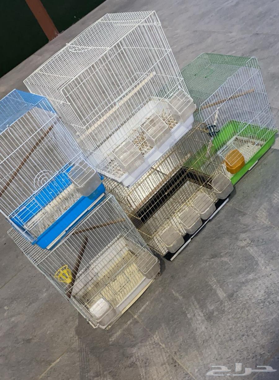 5 bird cages in good condition64586103032578110
