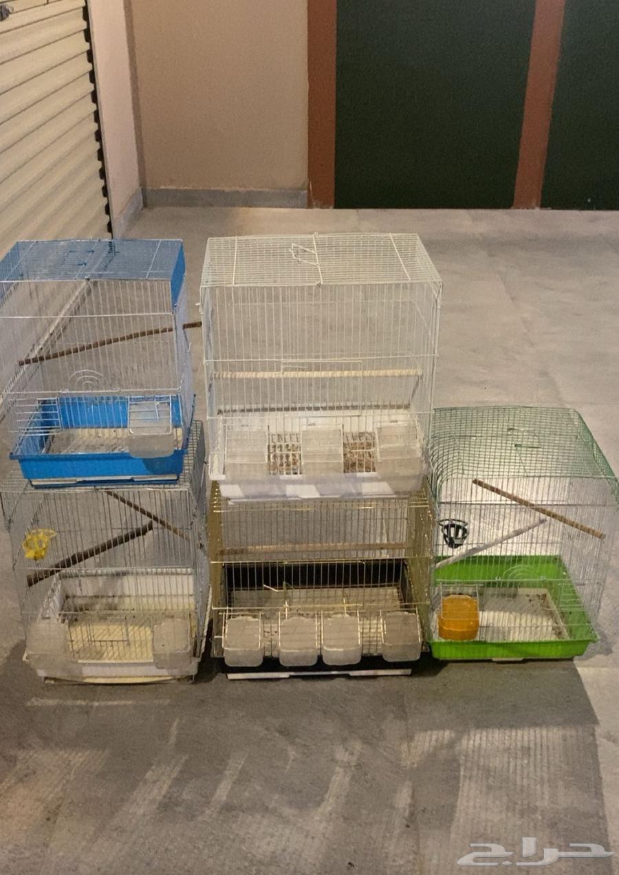 5 bird cages in good condition64586103032578111