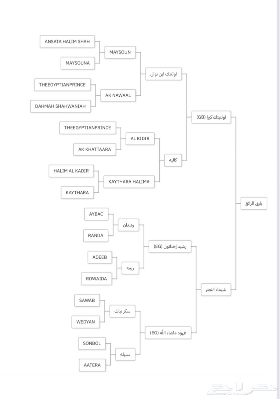 حصان مصري بيور فحل64583471098243112