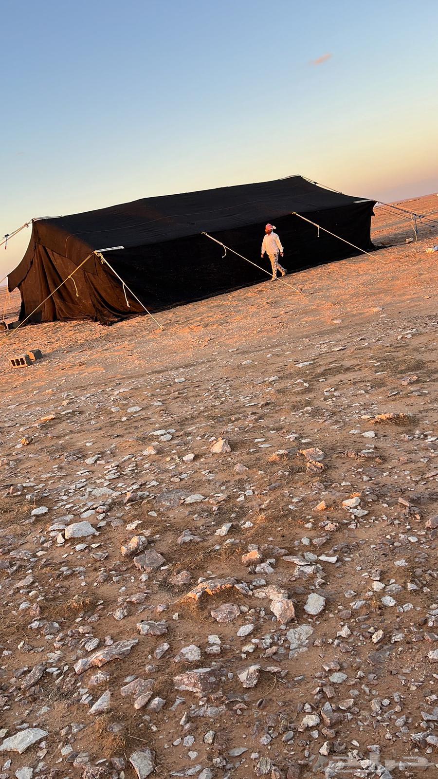 للبيع بيت شعر (مقورن )64588420910210110