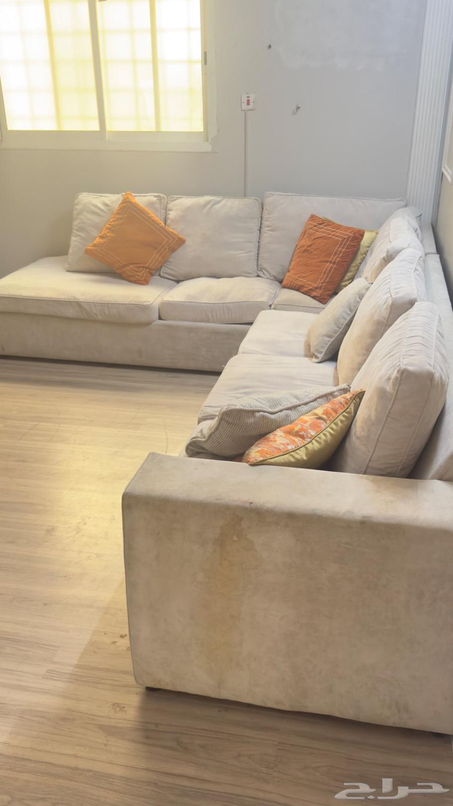 Corner sofa and floor seating with carpet64586737812865111