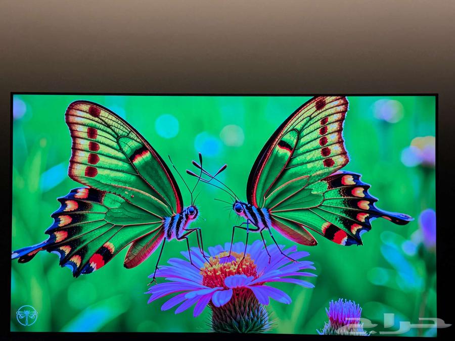 شاشة TCL Mini LED جديدة كليا - تم تركيبها وتجربتها فقط64584135089410112