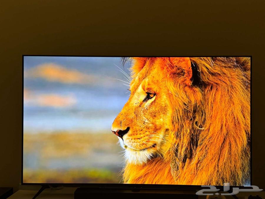 شاشة TCL Mini LED جديدة كليا - تم تركيبها وتجربتها فقط64584135089410113