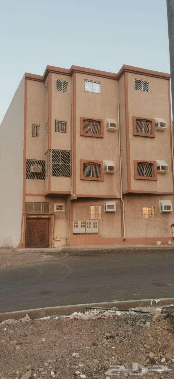 شقة للإيجار