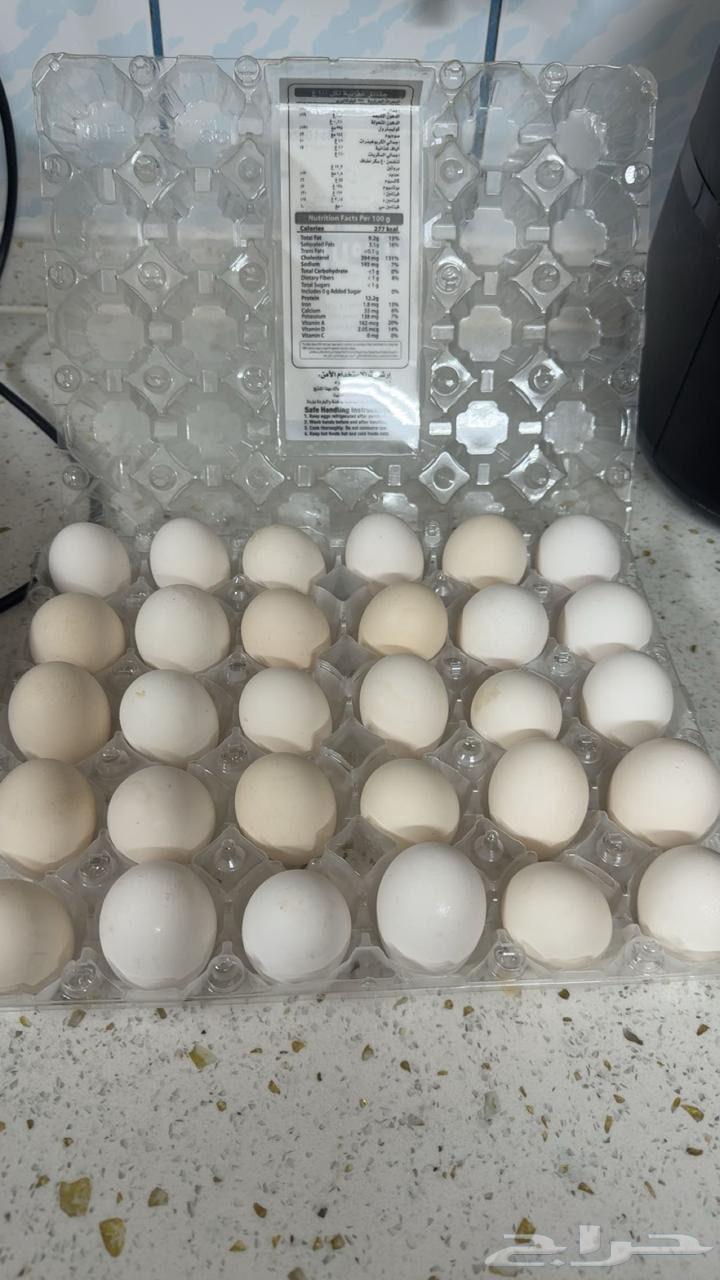 بيض64590372381313110