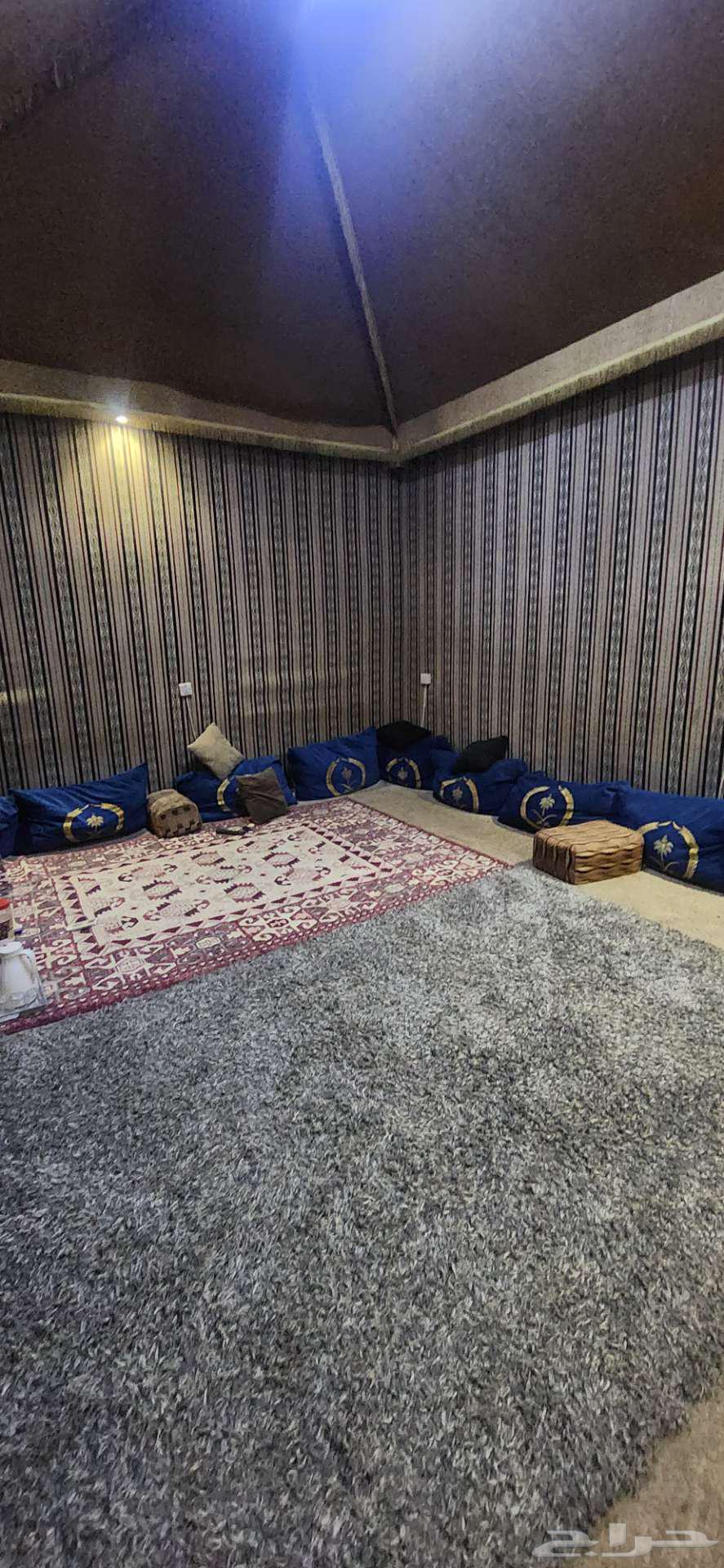 مفروشات ومجالس وتلفزيون 65 بوصة ومكيف 30 الف64591165828867110