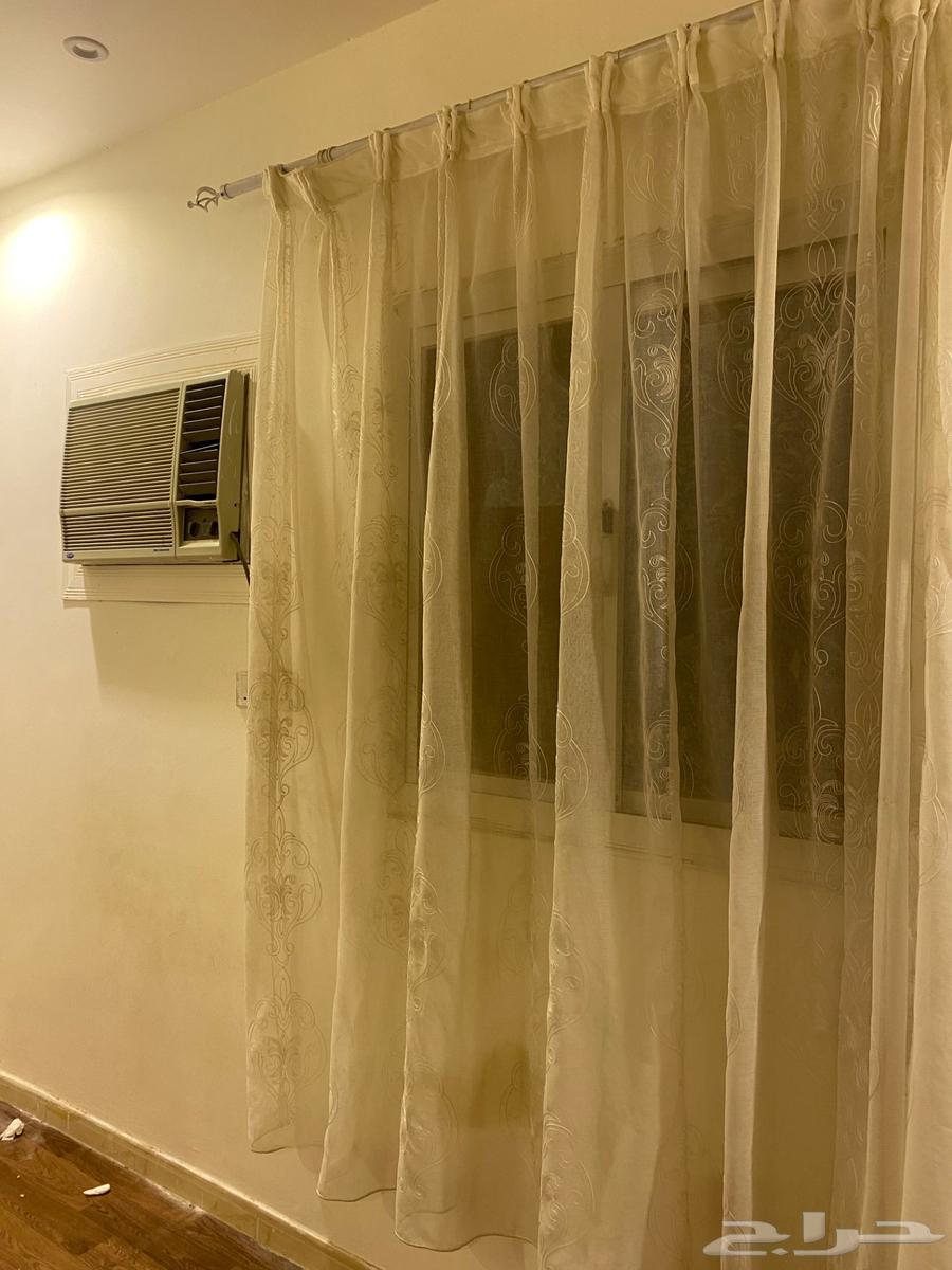 ستارة دانتيل ابيض سكري بسبب النقل64594751718529110