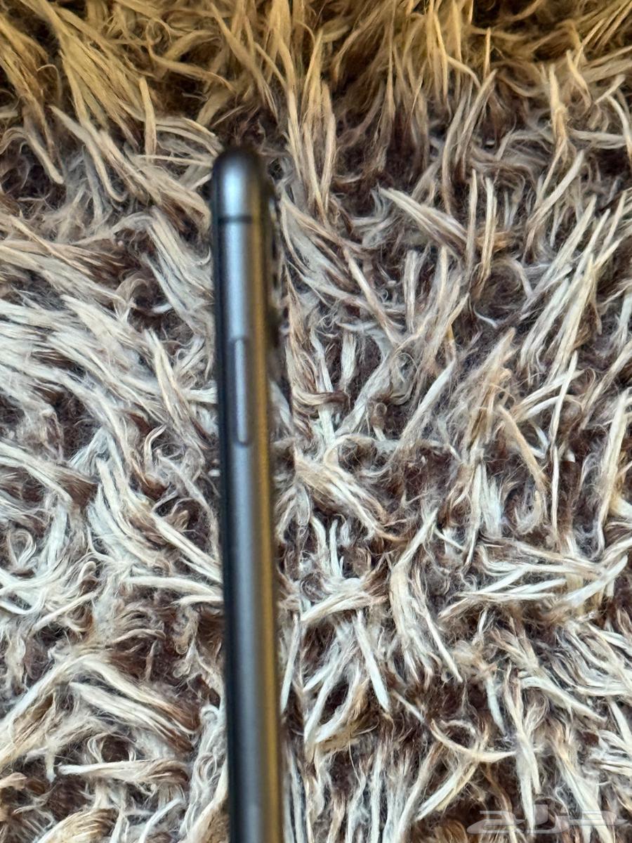 ايفون 11 128 جيجا وصل السوم 69864591358952193114