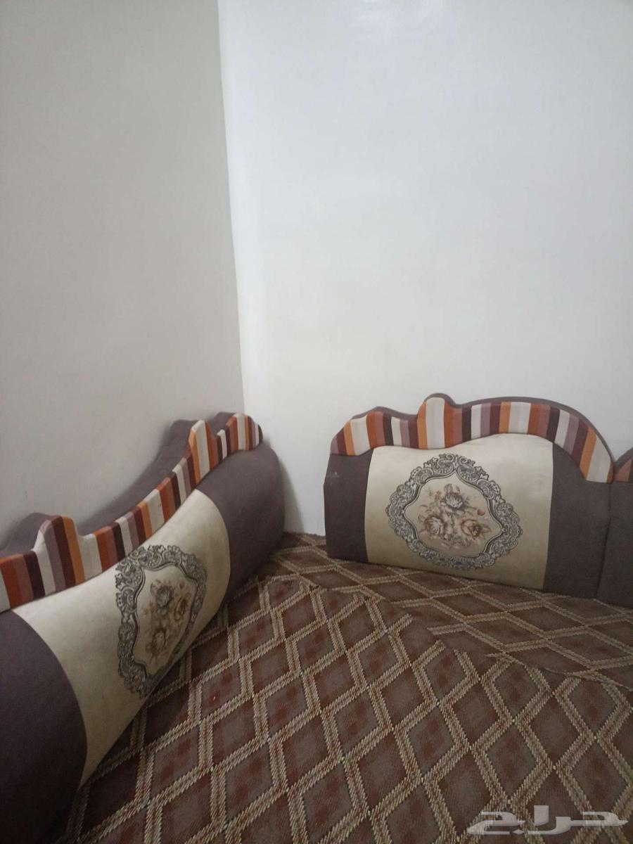 مساند للبيع المستعجل ب50 ريال64597114841474112