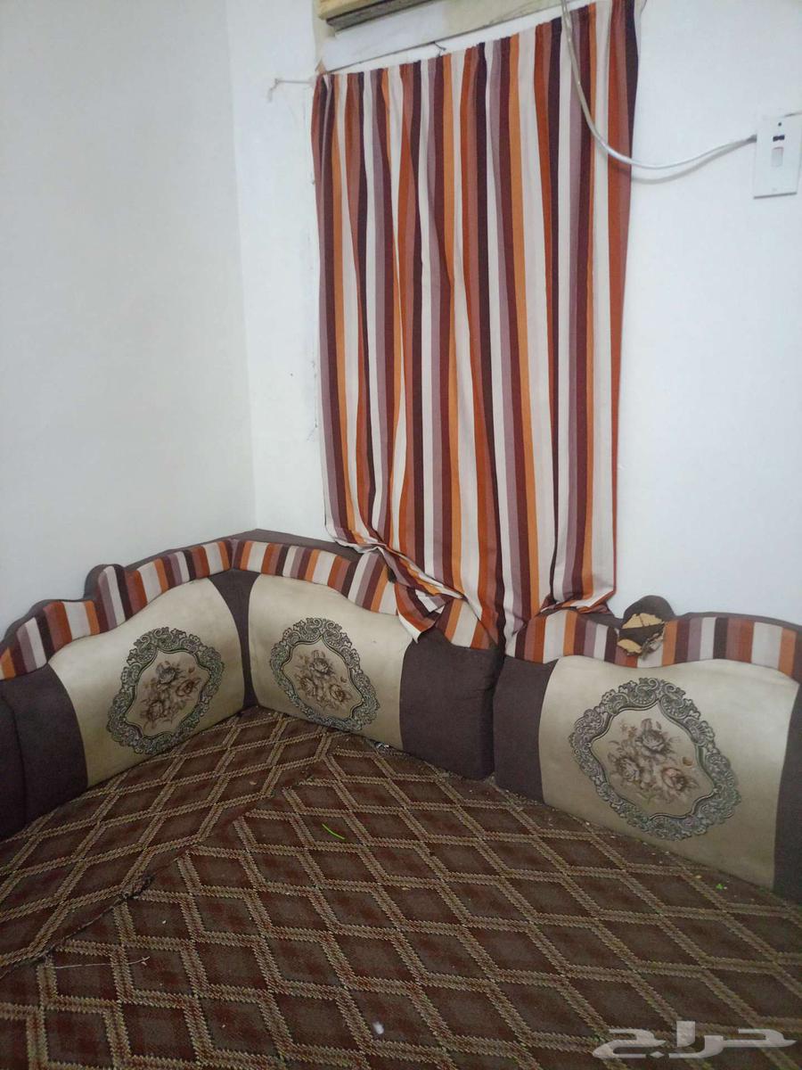 مساند للبيع المستعجل ب50 ريال64597114841474113