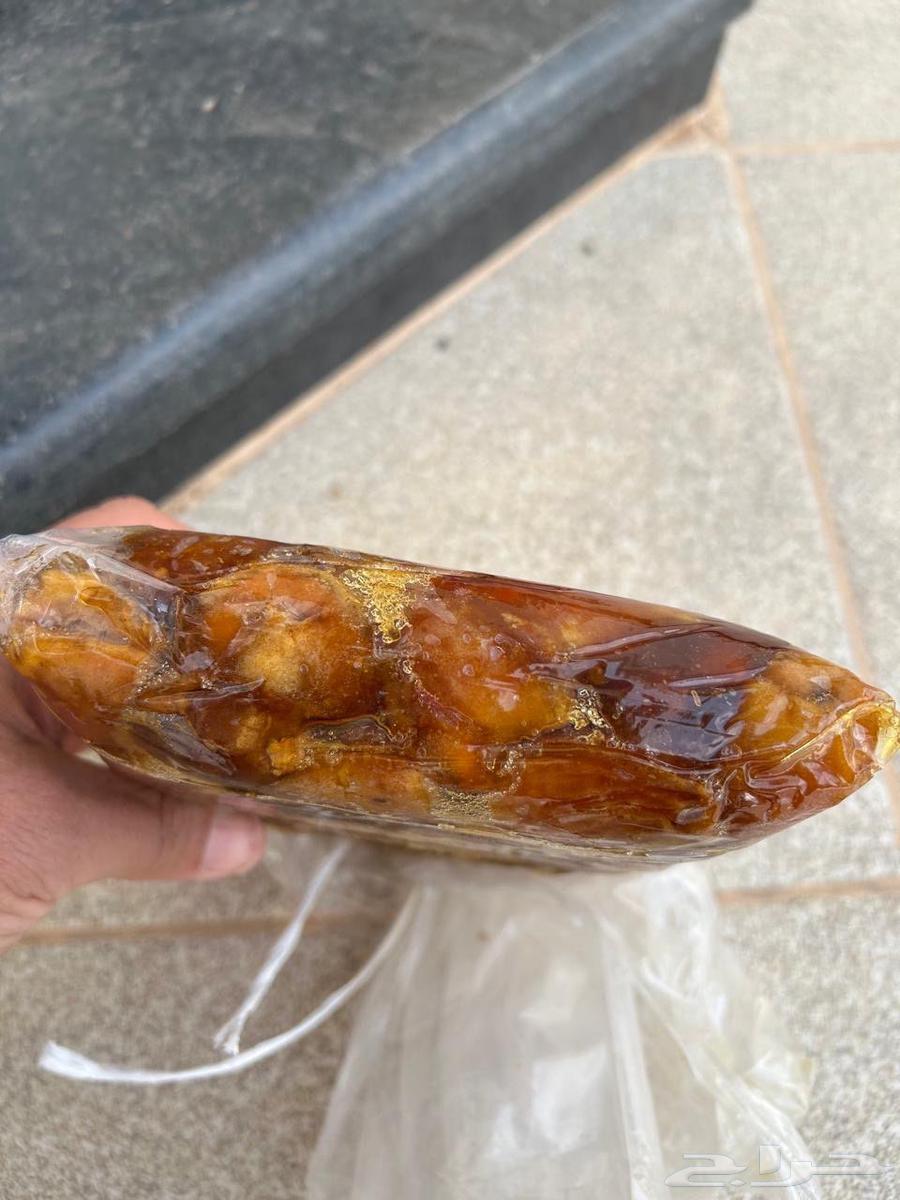 Manual Dammam Sugar64593047186051110