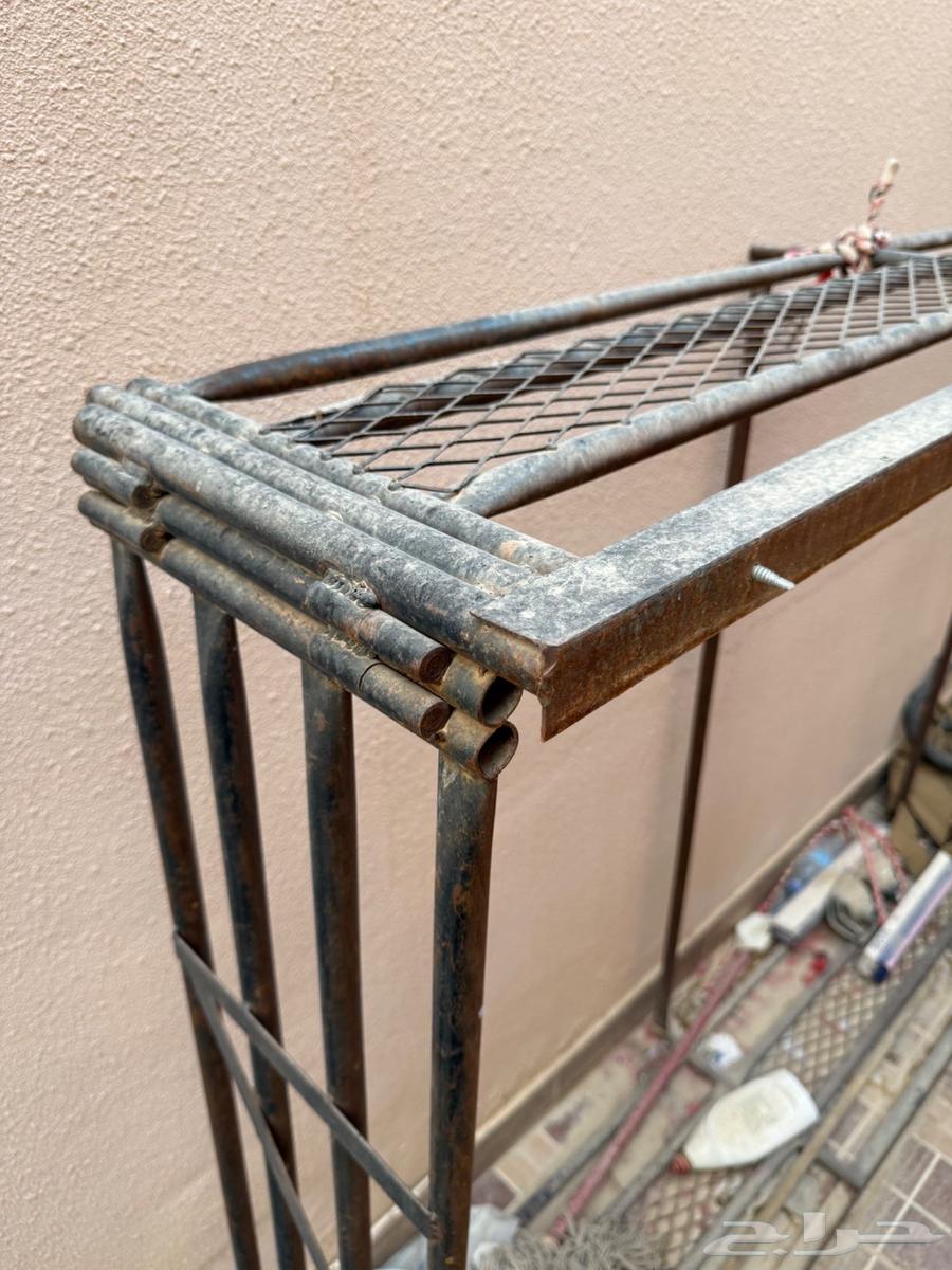 شد هنقلين ددسن غمارة 198564460857282306110