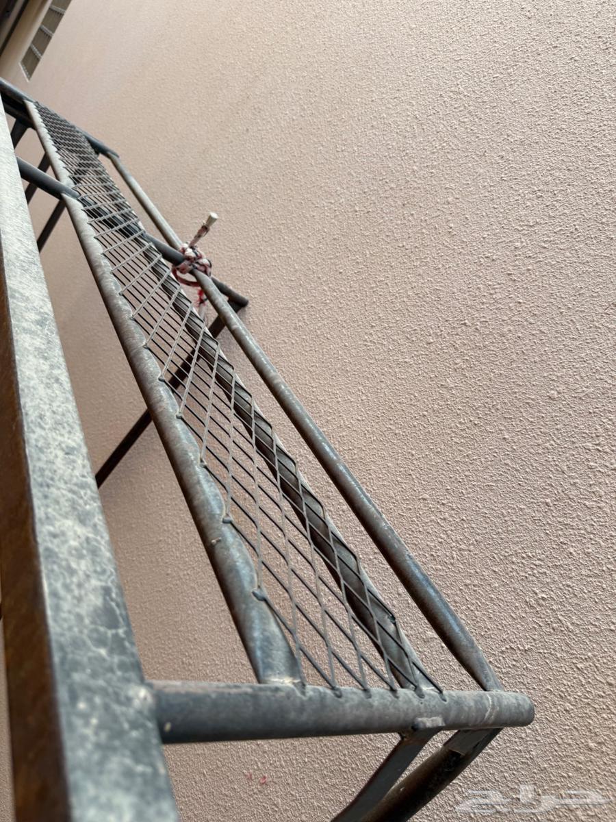 شد هنقلين ددسن غمارة 198564460857282306111