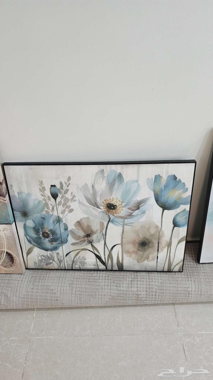 لوحات جدارية فخمة شبه جديدة64592468698499111