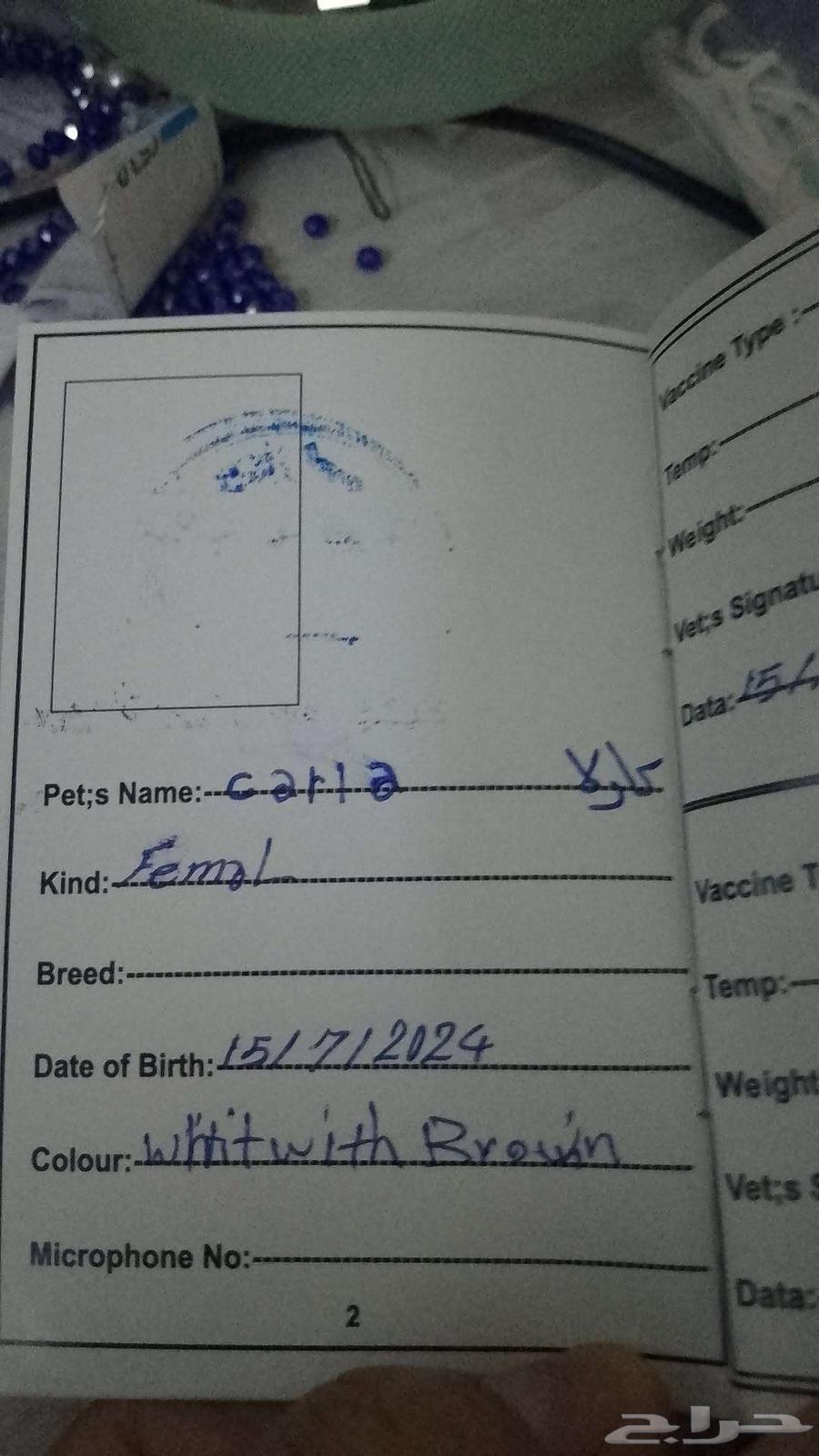 الحميديه في الدمام64593937646721114