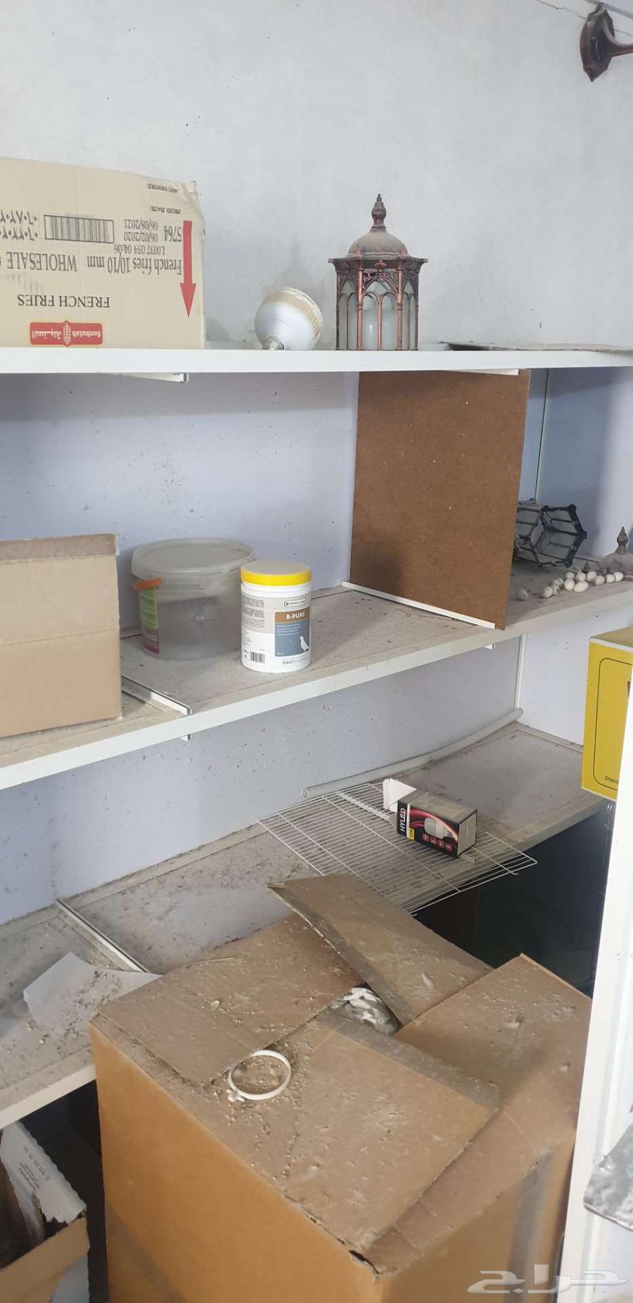 إستاندات أقفاص 601 مع أقفاص وبياضات ودولايب كناري ألمنيوم64591731713923110