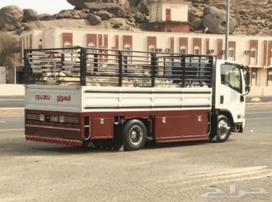 دينه مشاوير64156491895555110