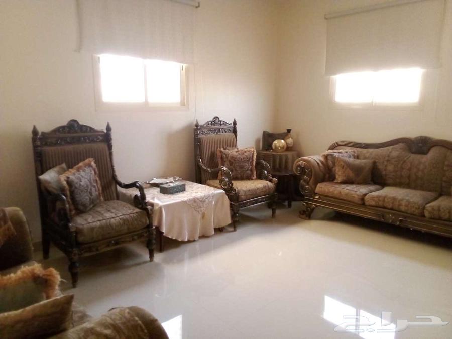 القصيم. البدائع64589829694465110