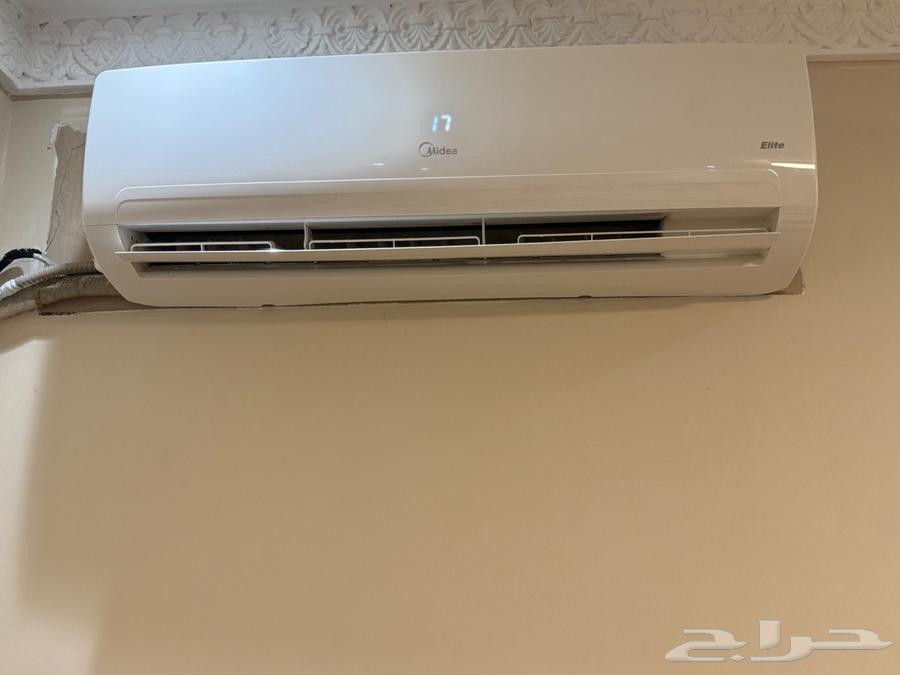 Asplit Mandu 2464594119523714110