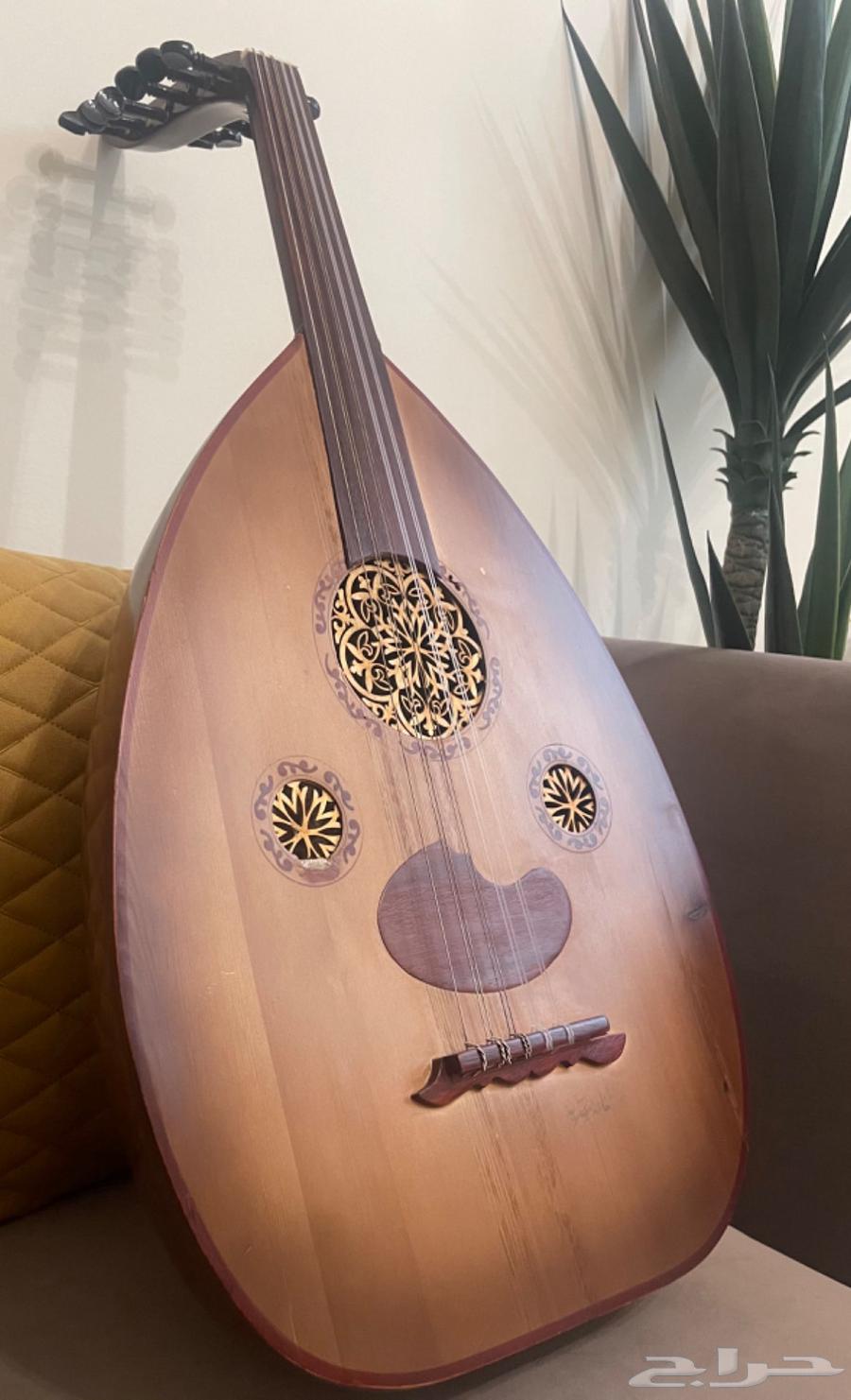 عود مصري نظيف64598425657346110