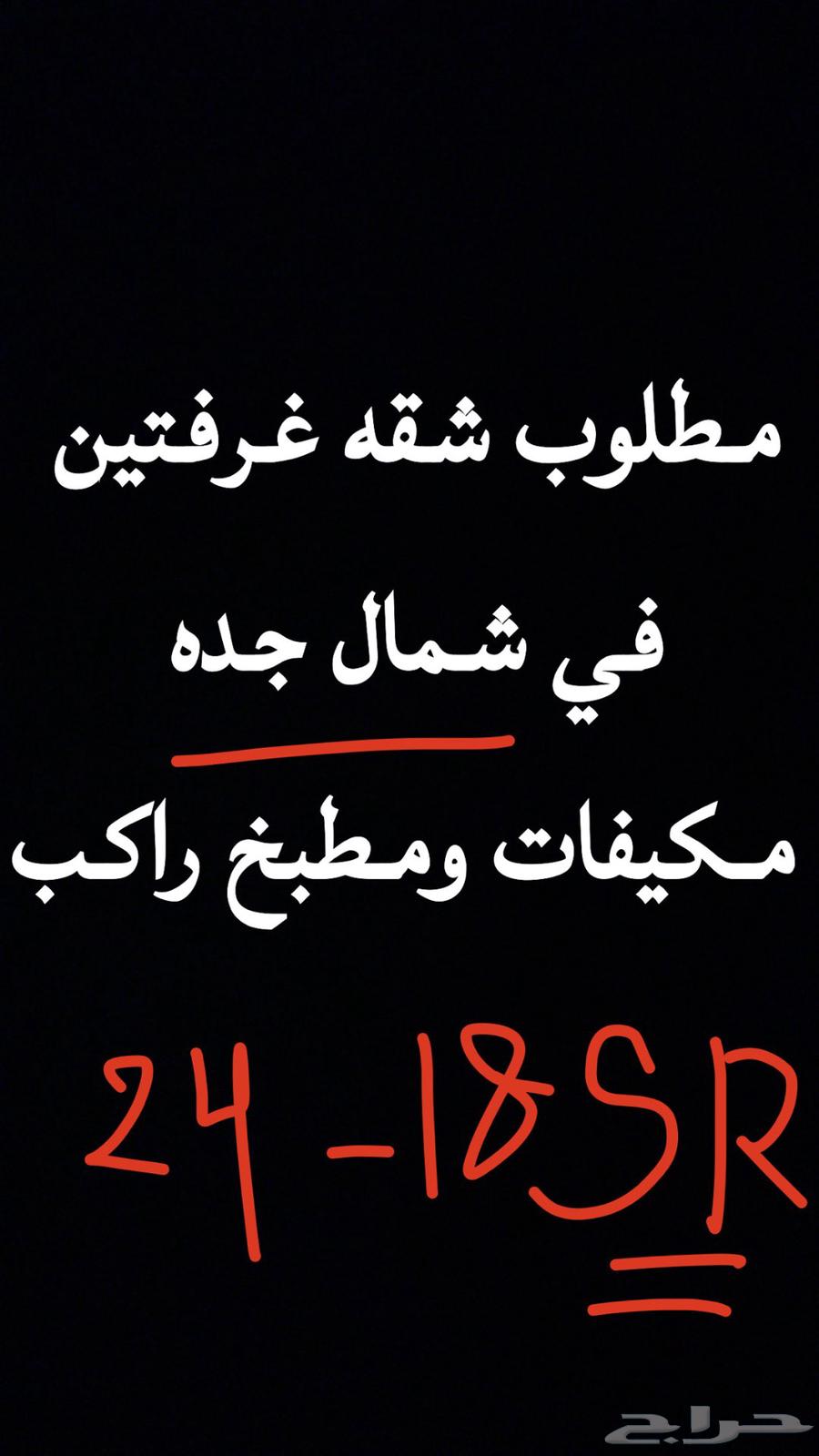 مطلوب شقة للإيجار سنوي في شمال جدة64143377433986110