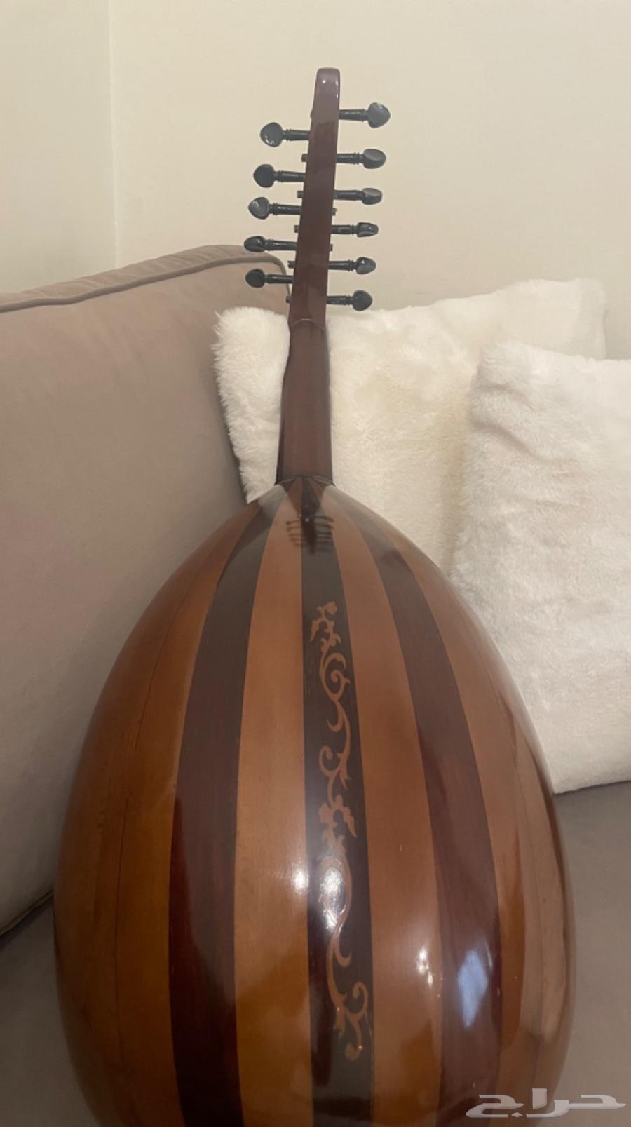 عود مصري نظيف64598425657346112