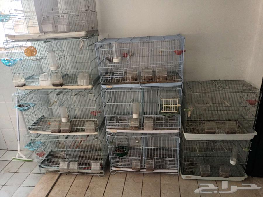 اقفاص للانتاج الطيور64558794522370113