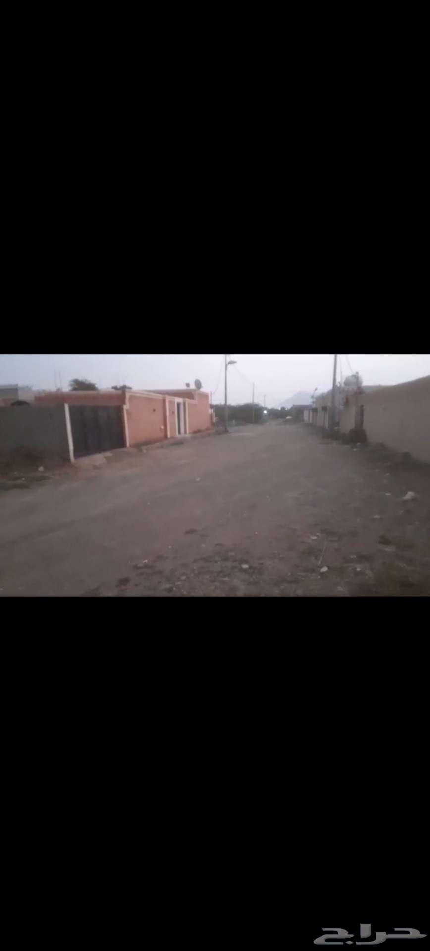 استراحه للايجار السنوي محايل عسير64147067885825111