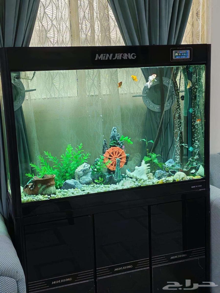 حوض سمك اخو الجديد مميز64608090795395110