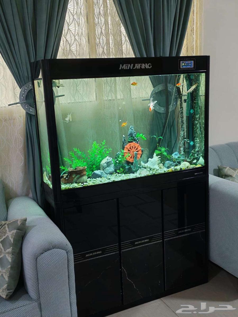 حوض سمك اخو الجديد مميز64608090795395111