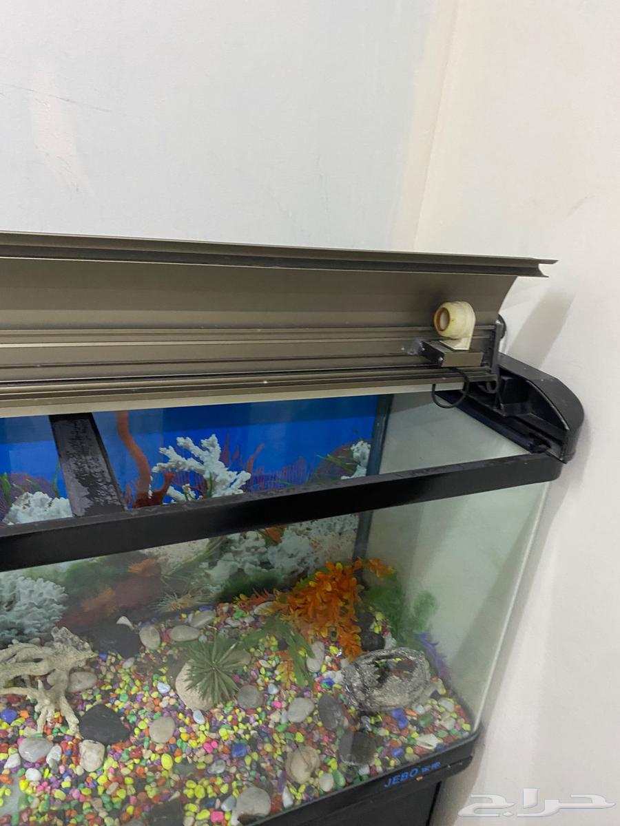 حوض سمك للبيع سليم ولايوجد به عيوب64609957964547113