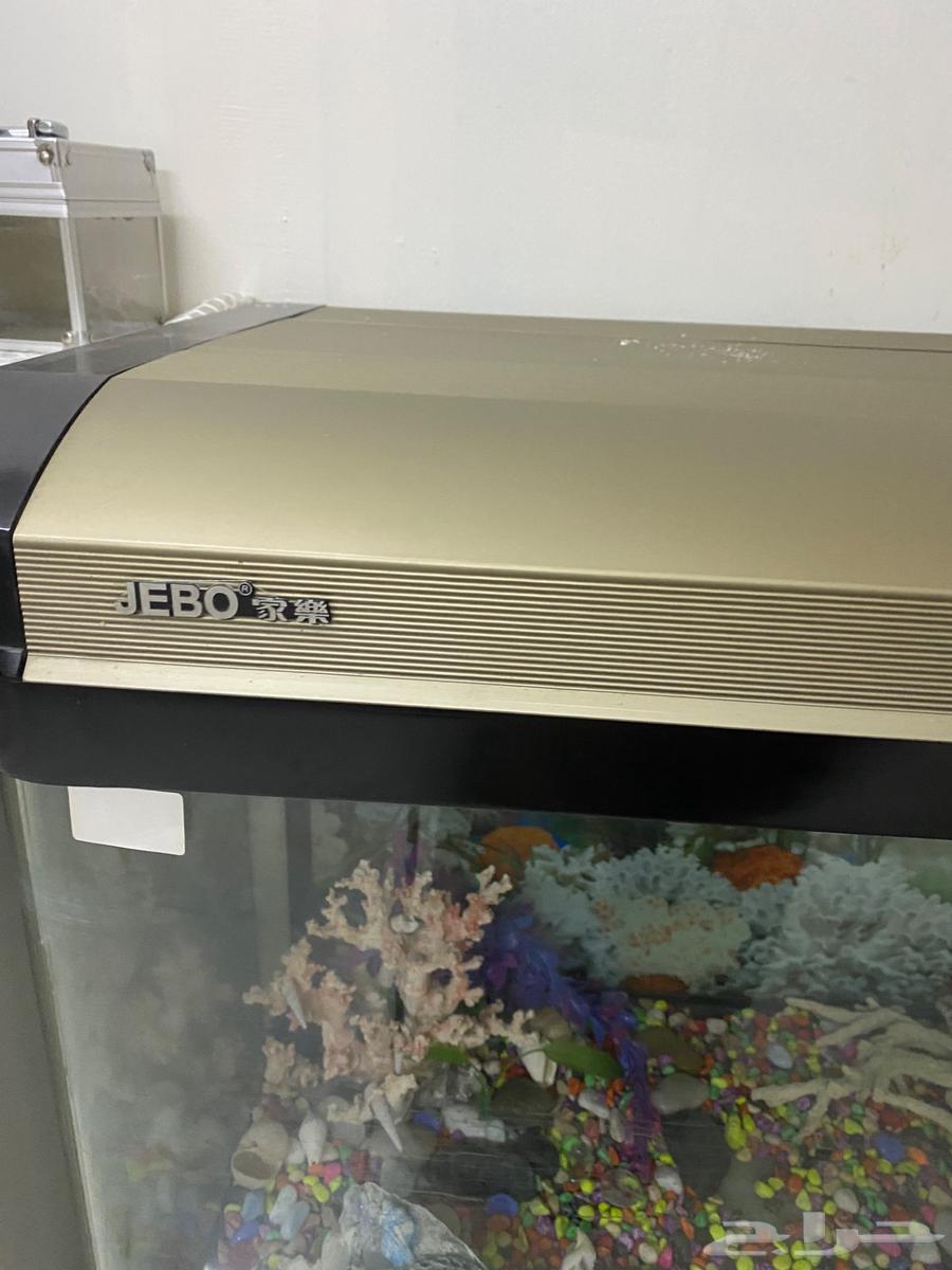 حوض سمك للبيع سليم ولايوجد به عيوب64609957964547110