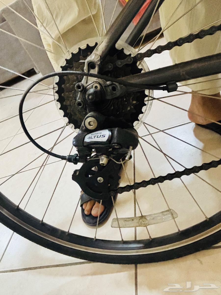 رحلة هجينة64610542881026114