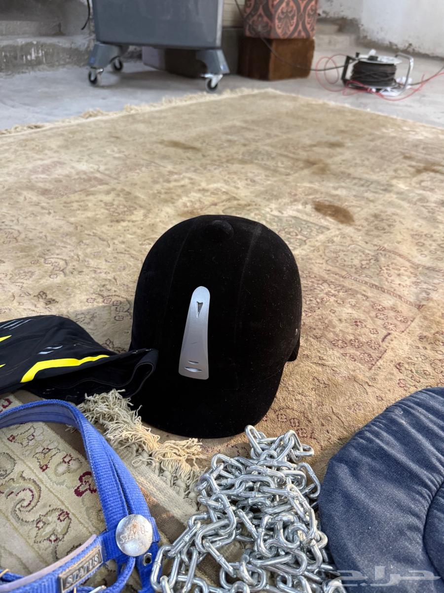 مستلزمات الخيل جديده للبيع64612400585730110