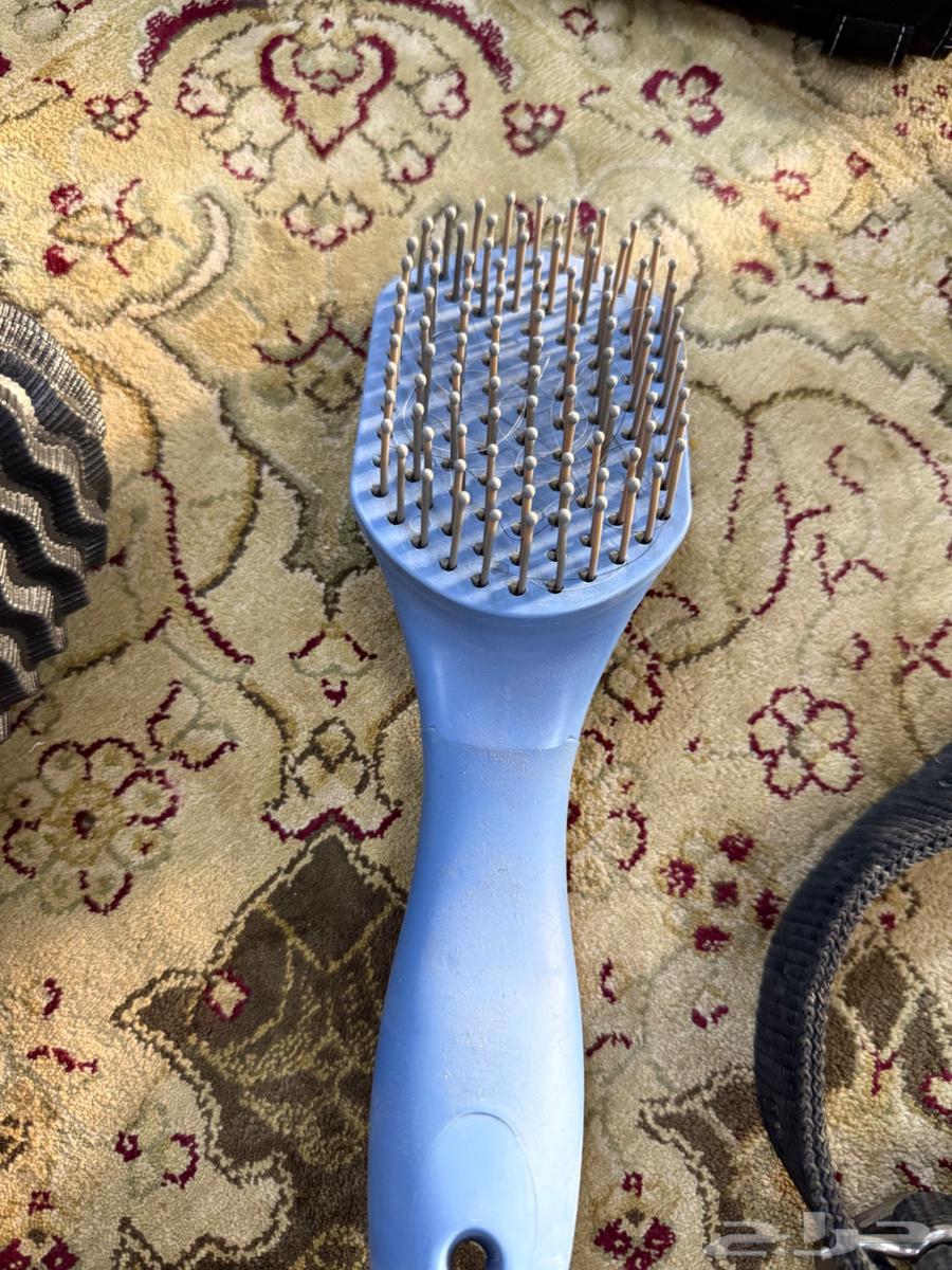 مستلزمات الخيل جديده للبيع64612400585730111