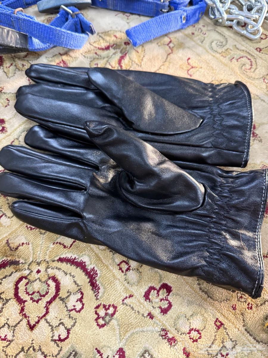 مستلزمات الخيل جديده للبيع64612400585730112