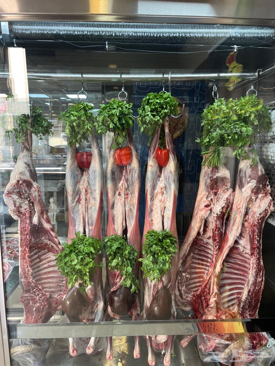 شواء خارجي للمناسبات64616951906050110