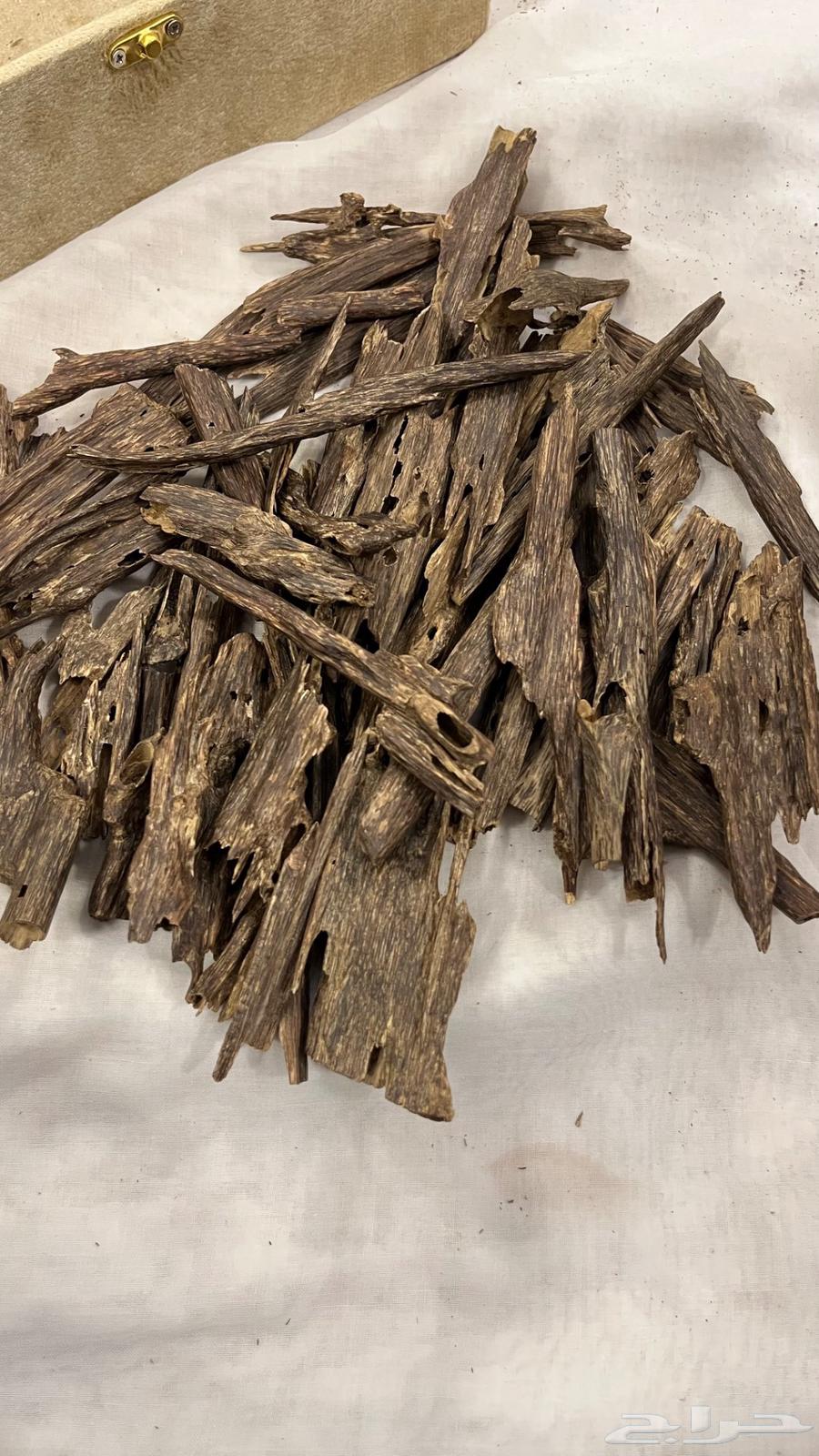 عود هندي غابات منيبور وآسام64614310086017113