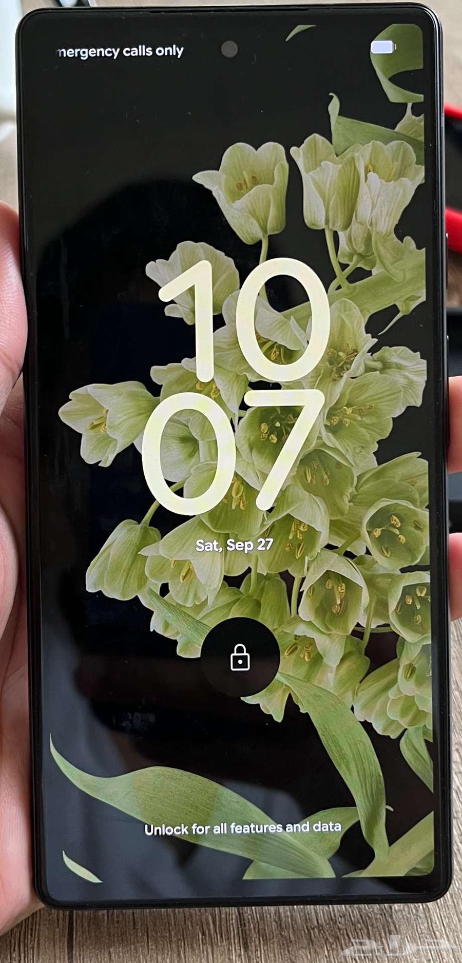 جوجل بكسل 6 اخو الجديد - Google Pixel 664608290754819110