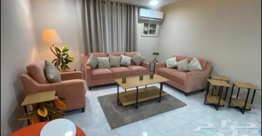 Orange Sofa with Orange Tree for 100 SAR64613533203969111