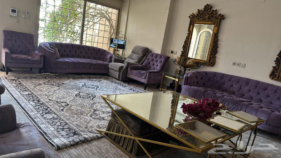 Elegant and large sofa64615238494979112