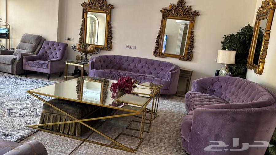 Elegant and large sofa64615238494979110