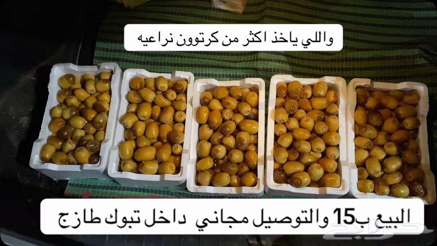 رطب طازج انتاج تبوك ب15 والتوصيل مجاني64607060255873110
