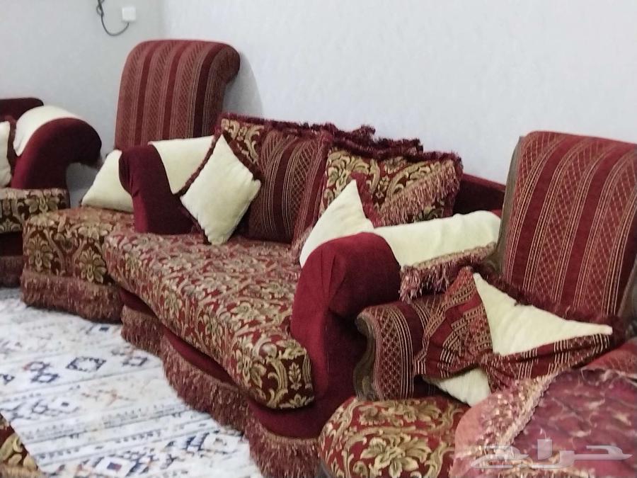 كنب عودي ونقشة ذهبية نظيف بسعر مغري جدا64616864960131113