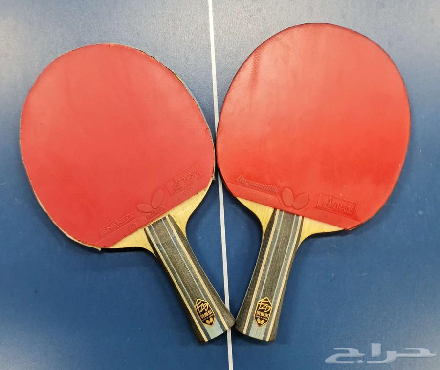 مضرب فان زاندونق مع جلد دقنس وتنرجي64614658540546110