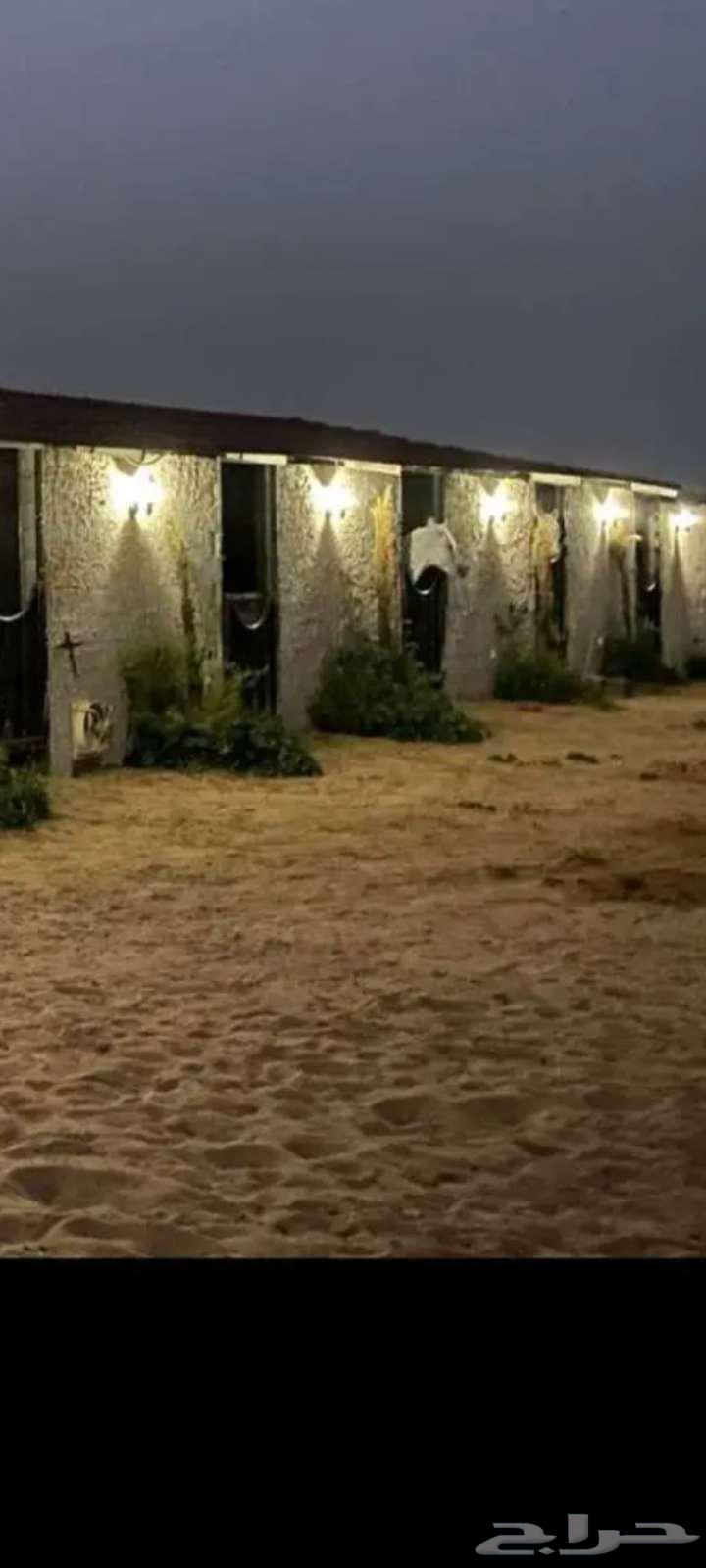 اسطبل خيل للبيع64618626869251110