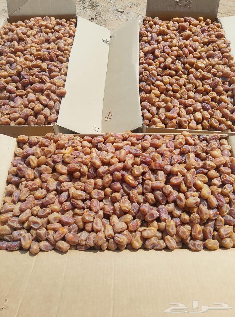 Al-Ikhlās Dates in Cardboard Boxes for Sale64619280010370111